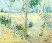 Trees on a slope Vincent Van Gogh